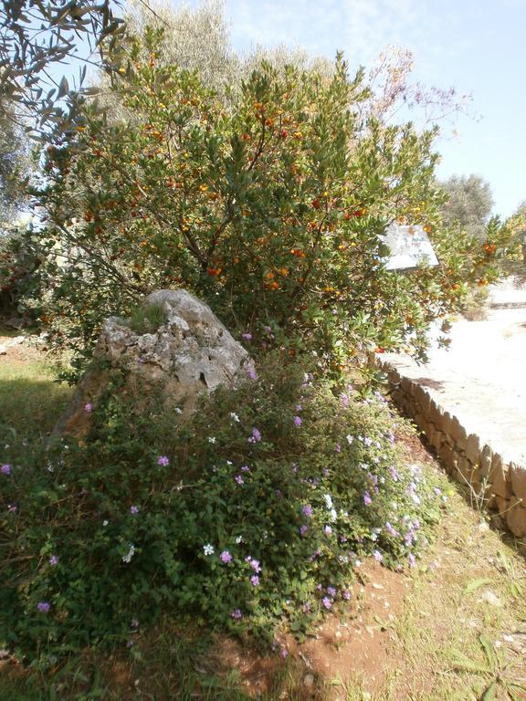 Trullo Villa Giuliana Con Giardino Posizione Panoramica Free Wifi Ostuni Exterior photo