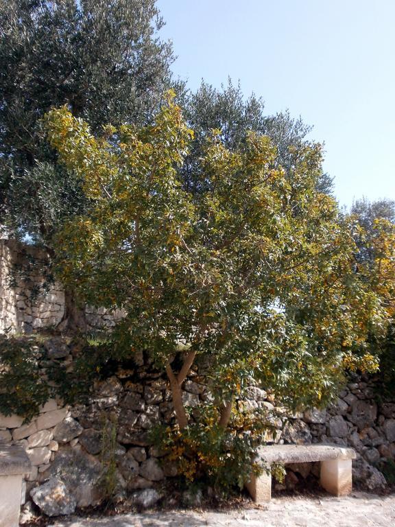 Trullo Villa Giuliana Con Giardino Posizione Panoramica Free Wifi Ostuni Room photo